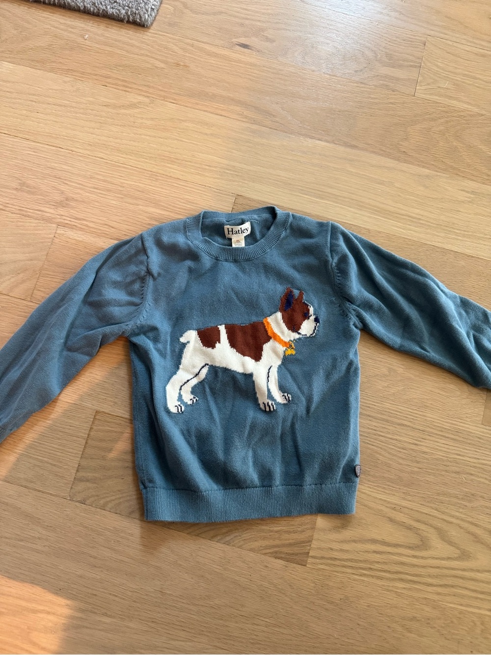 Hatley Boys' 2t Blue Sweater with French Bulldog Motif